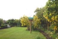 KitchenGarden
