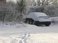 Our Car